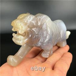 0.4LB 1piece hand-carved Natural Agate quartz tiger skull crystal healing Y2438