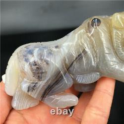 0.4LB 1piece hand-carved Natural Agate quartz tiger skull crystal healing Y2438