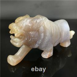 0.4LB 1piece hand-carved Natural Agate quartz tiger skull crystal healing Y2438