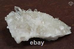 100% Natural White Samadhi Quartz 519 gm Healing Meditation Mineral Home Décor
