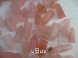 100 Pieces Natural ROSE quartz Crystal Point healing