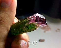 106 carats Supreme Quality 3 Color Zone Collectors Piece DT Tourmaline Crystal