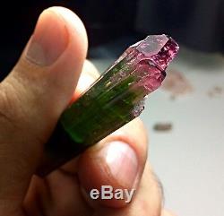 106 carats Supreme Quality 3 Color Zone Collectors Piece DT Tourmaline Crystal