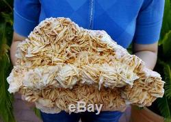 10.5 Barite Crystal Specimen Large Display Piece