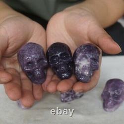 10 Pieces 2.2LB Natural Purple Mica Quartz Crystal Skull Carving Healing Africa