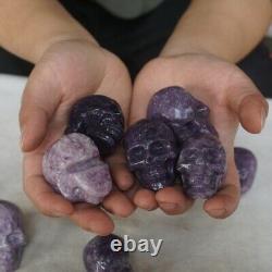 10 Pieces 2.2LB Natural Purple Mica Quartz Crystal Skull Carving Healing Africa