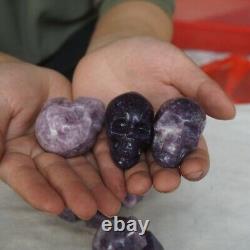 10 Pieces 2.2LB Natural Purple Mica Quartz Crystal Skull Carving Healing Africa