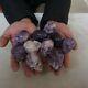 10 Pieces Tiny Natural Purple Mica Quartz Crystal Skull Carving Healing Africa