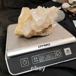 1105g Grams Natural Beautiful White QUARTZ Crystal Piece Points Specimen #11