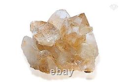 1176gm Orange Cathedral Crystal Pencil Quartz Golden Rutile Raw Mineral Specimen