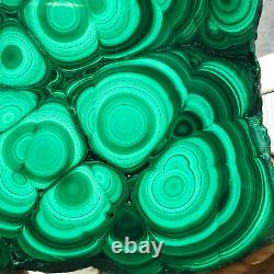 1188g Large Natural Malachite Green Circular Banded Crystal Piece Rare Specimen