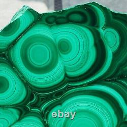 1188g Large Natural Malachite Green Circular Banded Crystal Piece Rare Specimen