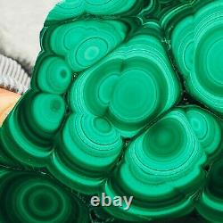 1188g Large Natural Malachite Green Circular Banded Crystal Piece Rare Specimen