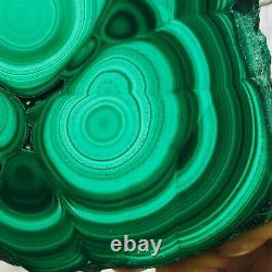 1188g Large Natural Malachite Green Circular Banded Crystal Piece Rare Specimen