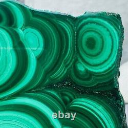 1188g Large Natural Malachite Green Circular Banded Crystal Piece Rare Specimen