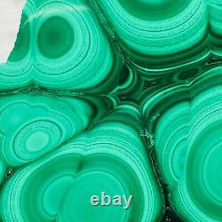 1188g Large Natural Malachite Green Circular Banded Crystal Piece Rare Specimen