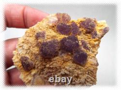 11 Piece Rare Lot Purple Botryoidal Ball Fluorite Crystal Clusters Specimen Flat