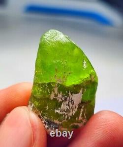 11-Pieces Peridot Terminated Natural Crystals Lot 198-Grams @Sopat Mine Pakistan