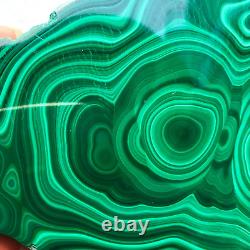 1238g Large Natural Malachite Green Circular Banded Crystal Piece Rare Specimen