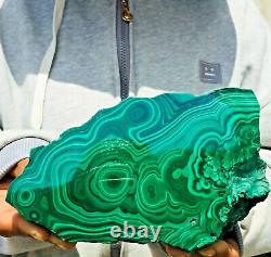 1238g Large Natural Malachite Green Circular Banded Crystal Piece Rare Specimen