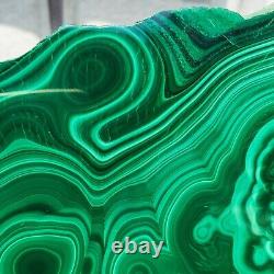 1238g Large Natural Malachite Green Circular Banded Crystal Piece Rare Specimen