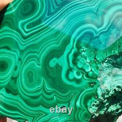 1238g Large Natural Malachite Green Circular Banded Crystal Piece Rare Specimen