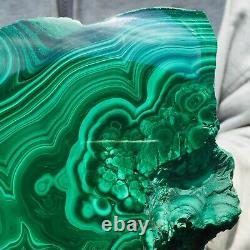 1238g Large Natural Malachite Green Circular Banded Crystal Piece Rare Specimen