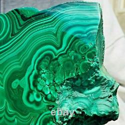 1238g Large Natural Malachite Green Circular Banded Crystal Piece Rare Specimen