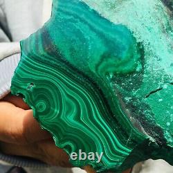 1238g Large Natural Malachite Green Circular Banded Crystal Piece Rare Specimen