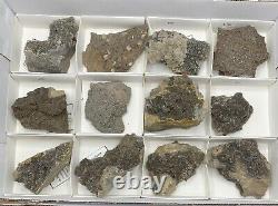 12 Piece High Grade Herkimer Druzy Wholesale Flat, Large Specimens Covered in Mi