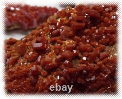 12 Pound - 1 Vanadinite Crystal Cluster Rough Specimen Piece