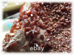 12 Pound - 1 Vanadinite Crystal Cluster Rough Specimen Piece