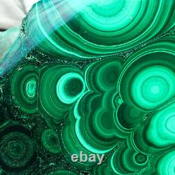 1310g Large Natural Malachite Green Circular Banded Crystal Piece Rare Specimen