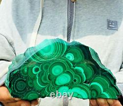 1310g Large Natural Malachite Green Circular Banded Crystal Piece Rare Specimen