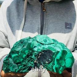 1310g Large Natural Malachite Green Circular Banded Crystal Piece Rare Specimen