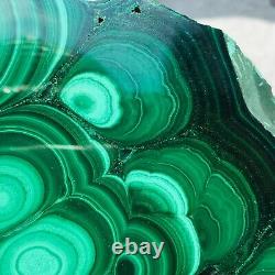 1310g Large Natural Malachite Green Circular Banded Crystal Piece Rare Specimen