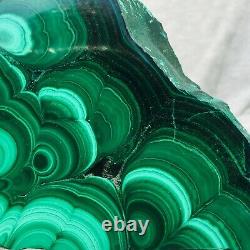 1310g Large Natural Malachite Green Circular Banded Crystal Piece Rare Specimen