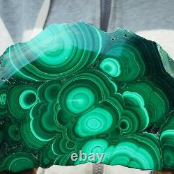 1310g Large Natural Malachite Green Circular Banded Crystal Piece Rare Specimen