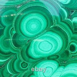 1310g Large Natural Malachite Green Circular Banded Crystal Piece Rare Specimen