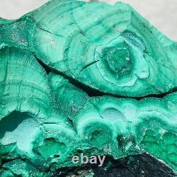 1310g Large Natural Malachite Green Circular Banded Crystal Piece Rare Specimen