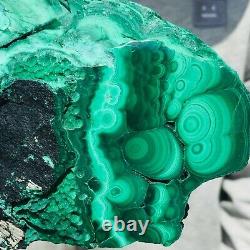 1310g Large Natural Malachite Green Circular Banded Crystal Piece Rare Specimen