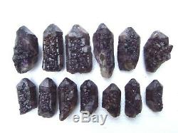 1320g (13 pieces) RARE NATURAL Amethyst quartz crystal Point Specimens