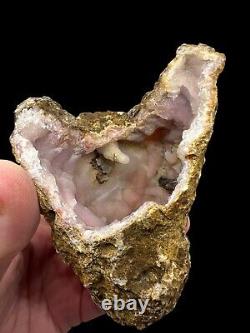 14 Piece Lot of Pink Amethyst Geodes Crystal Wholesale Mineral Specimens RAW