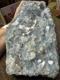 14lb Raw Blue Calcite Crystal Healing Statement Piece Chakra Specimen + Stand