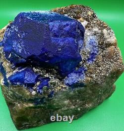 1503 Gram Collectible Piece Blue Lazurite Huge Crystal On Phlogopite Matrix