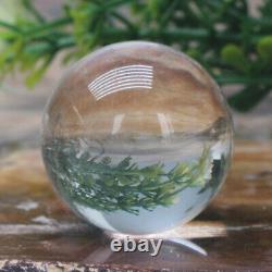 150mm Clear Divination Crystal Ball Glass Sphere Free Wooden Stand Home Decorati