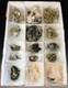 15 Piece Lot! Quartz With Epidote From Hakkri Province, Turkey