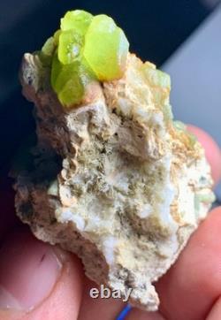 15 pieces Natural Green Peridot Crystals specimen Lot from Pakistan
