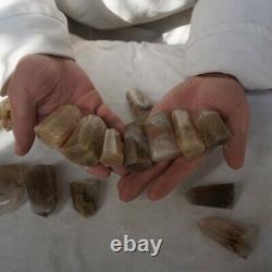 16 Pieces Natural Gold Hair Rutile Quartz Crystal Point Tower Polished Healing /