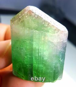 192 Carats Beautiful Natural Bi-Color Tourmaline Crystal Very Nice Quality Piece